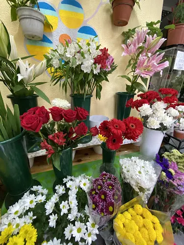 Floristería Mari Carmen
