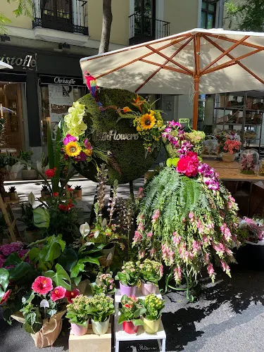 Latín Flowers - Madrid