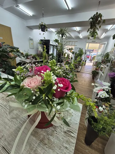 Jungla Floral - Valdemoro