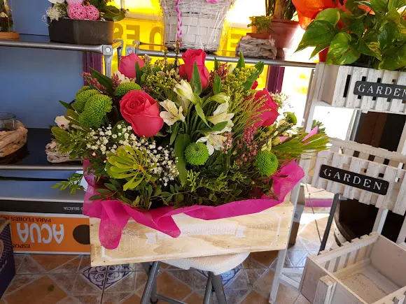 Floristería Carmen - San Fernando de Henares
