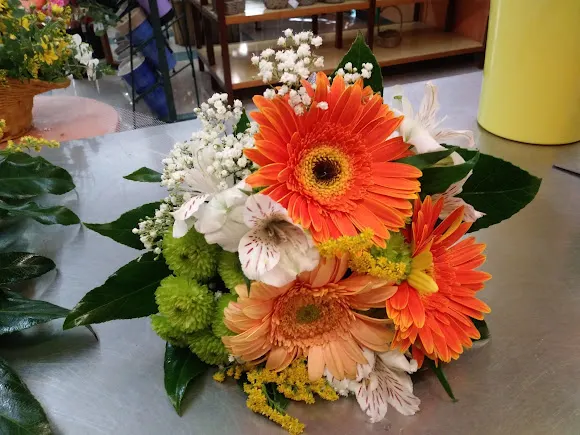 Floristería Marisierra - Coslada