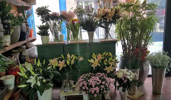Floristería Zinnia - Pinto