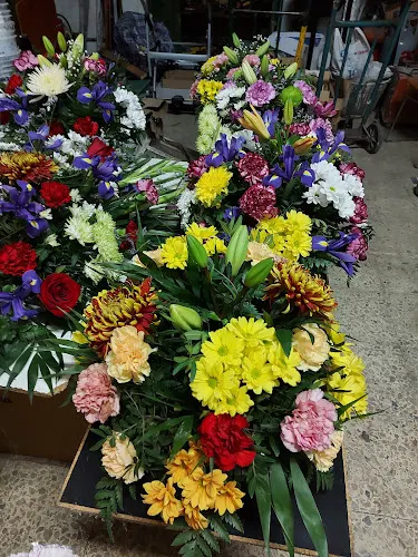 EXPOFLOR Floristas