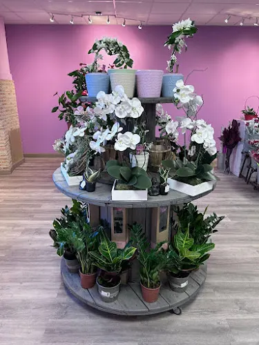 FlorTienda - Carranque