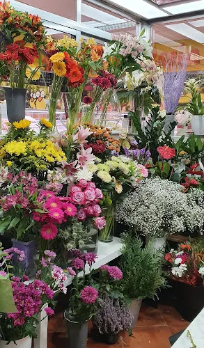 Flor de Lyc - Madrid