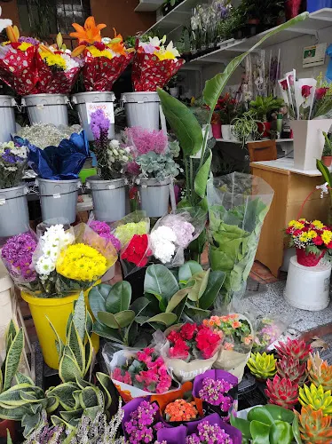KS floristería - Madrid