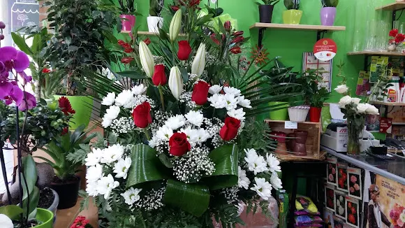 Floristeria y jardinería Hayuco. Local cerrado pero seguimos cogiendo encargos por teléfono, no dudes en preguntarnos. - Madrid