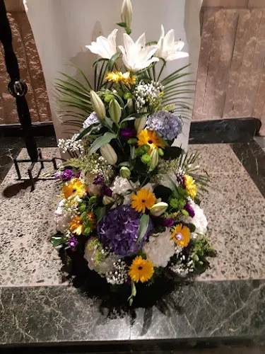 FLORES ROSI - Colmenar Viejo