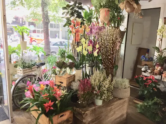 Floristeria Jardin - Madrid