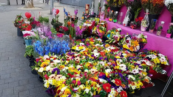 Flores y plantas La esmeralda - Madrid