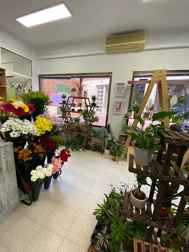 Floristeria Idea's - Pinto