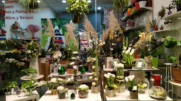 FLORISTERÍA VISERCHI - Madrid