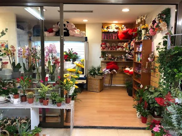 Floristería Los Reyes - San Sebastián de los Reyes