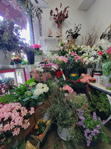 Floristería GERBER