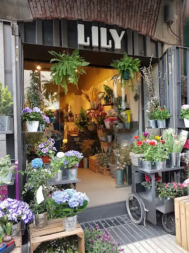 LILY Floristeria