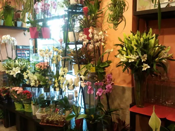 Floristería Entreflores