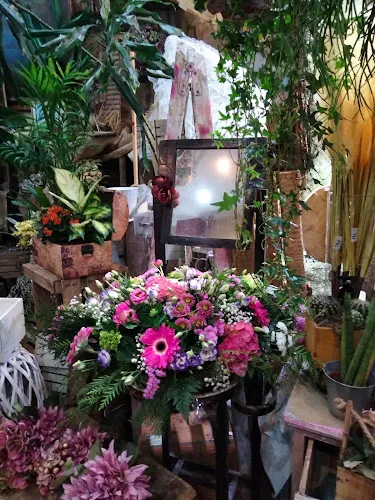 Floristería Isabel - San Sebastián de los Reyes