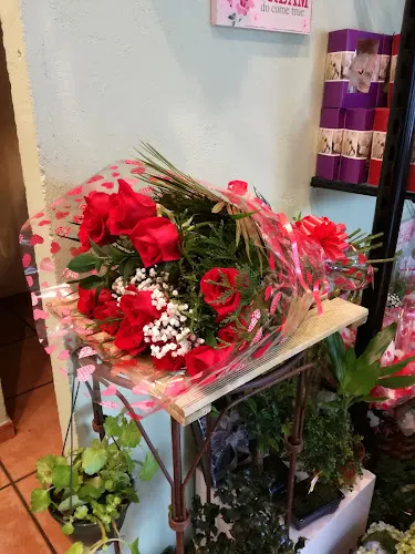 Galva Floristas - Leganés