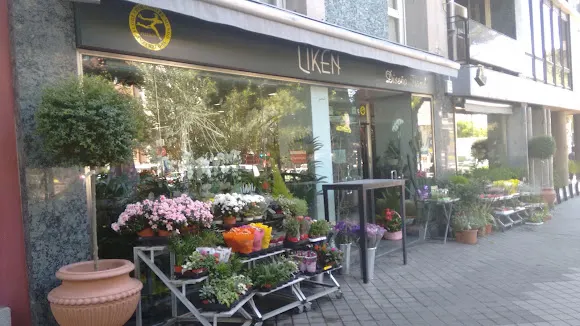 Liken - Madrid