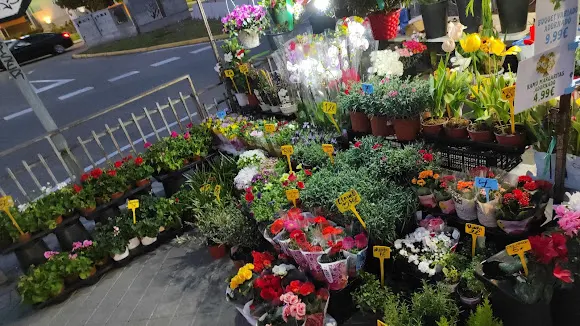 Floristería Amparo Ciudad De Los Angeles - Madrid