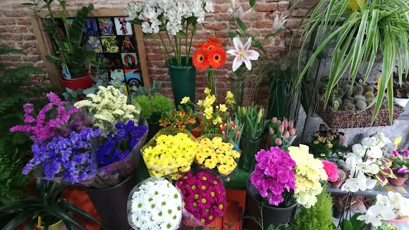 Flores Velasco