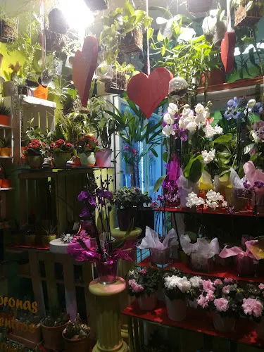 Floristería Nicoly - Coslada
