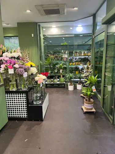 Mon Parnasse Flores - Clara del Rey - Madrid
