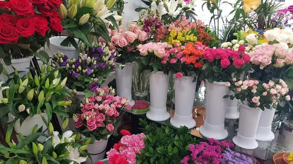 HERBOLARIO Y FLORES MAGUI