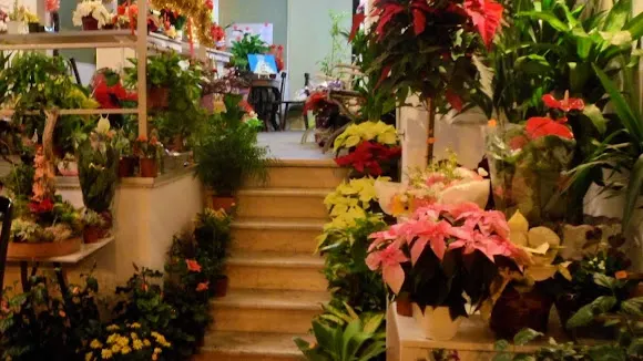 Floristería El Rincón - Alora