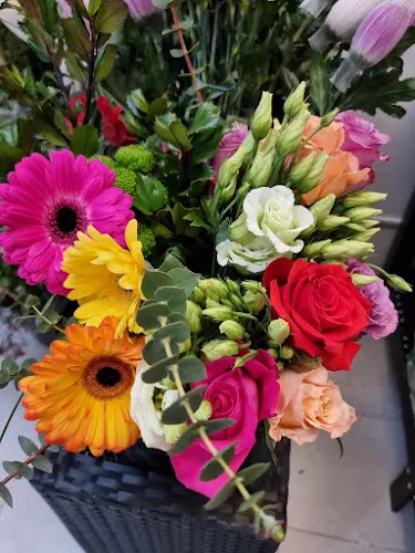 Flores Luludi - Madrid