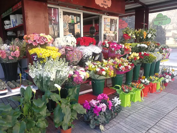 Flores Aquitania - Madrid