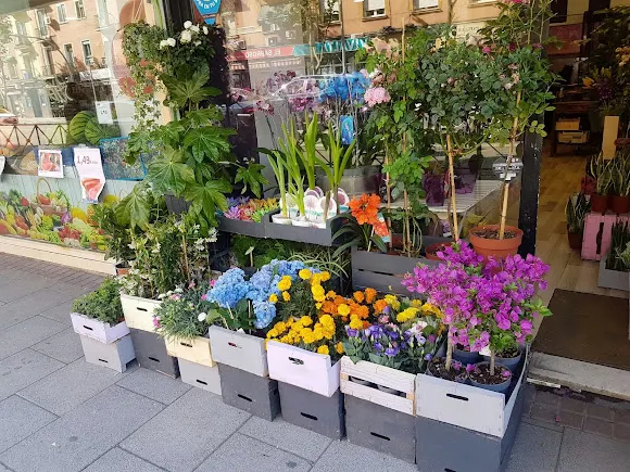 FLORISTERIA YERARD FLORISTAS