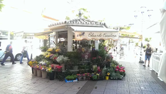 Floristería La plaza - Fuengirola