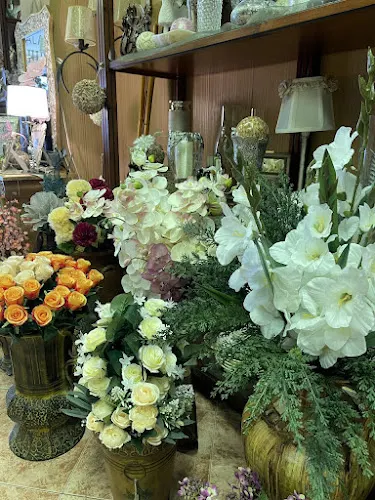 Floristería, Lámparas y Decoración INSAR - Archidona