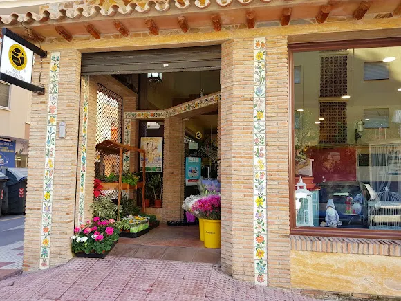Flores Decor - Estepona