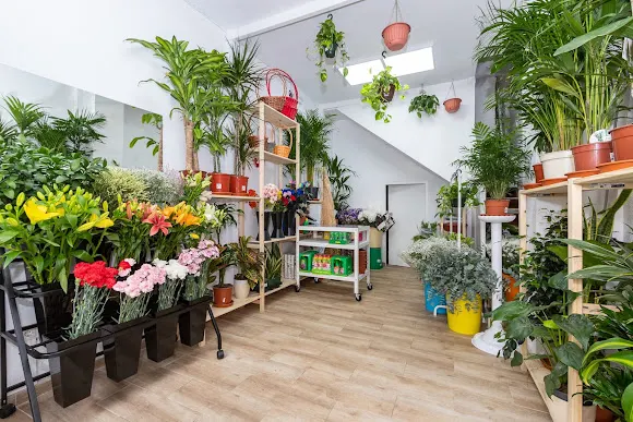 Floristería Emilia el perchel - Málaga