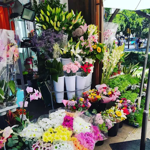 Floristería Emilia Alameda - Málaga