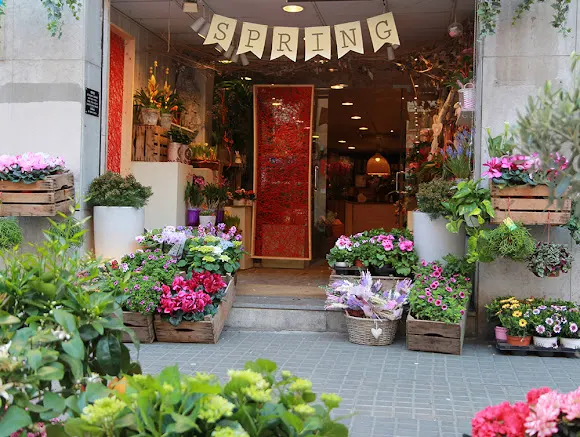 florestore floristería - Málaga