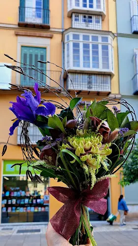 NF Arte Floral - Málaga