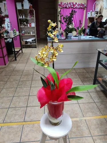 Floristeria Toñi - Alhaurin el Grande