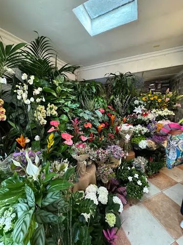 Floristeria Esencia Floral - Málaga
