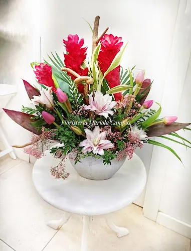 Floristeria Mariola Campos - Málaga
