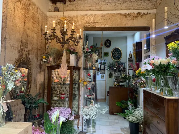 Flor Zen - Málaga