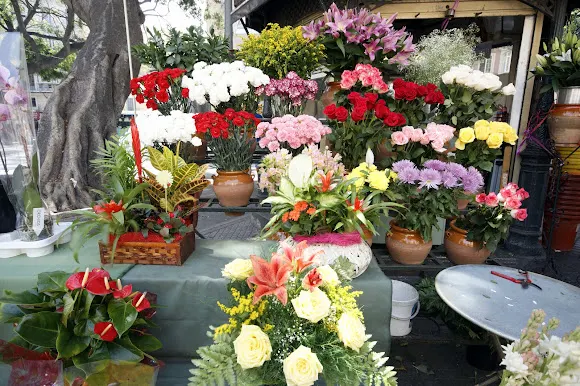 Floristería Maite - Málaga
