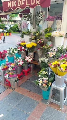 Floristería NikoFlor - Fuengirola