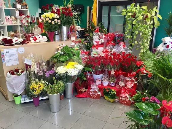 Floristería Miguel - Málaga