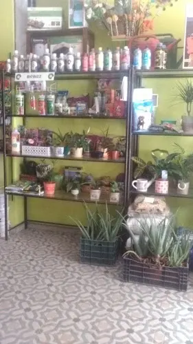 Floristería Y Grow - Alameda