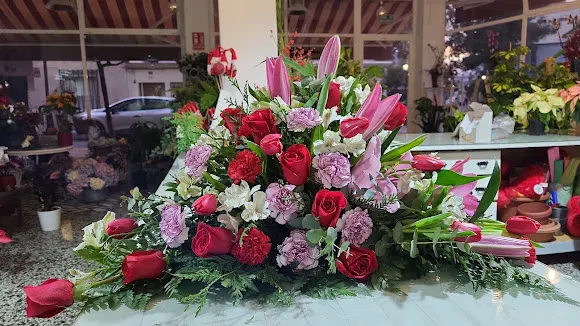 Hormigo Floristas - Fuengirola