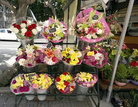 Floristería Andalucía - Málaga