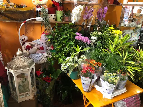 Floristerías La Abadia - Málaga